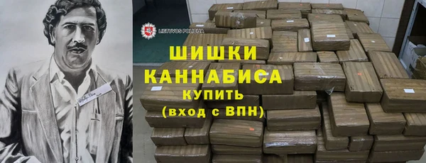 тгк Ельня