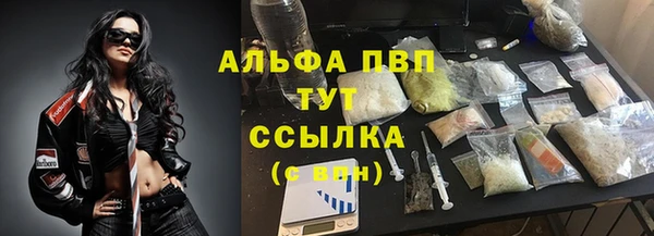 PSILOCYBIN Елабуга