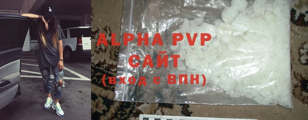 PSILOCYBIN Елабуга