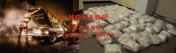 тгк Ельня