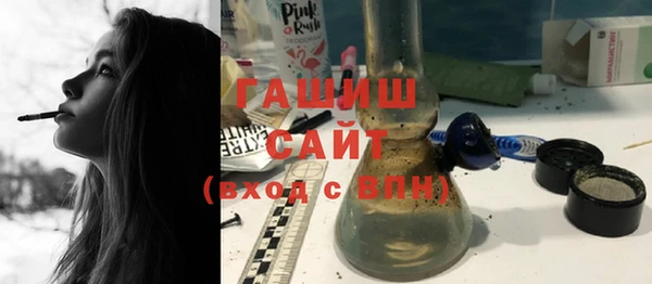 тгк Ельня
