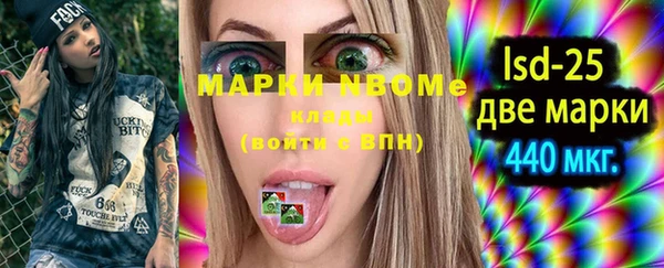 тгк Ельня