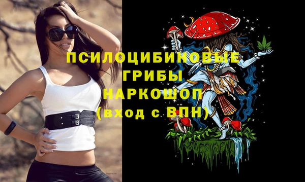 тгк Ельня