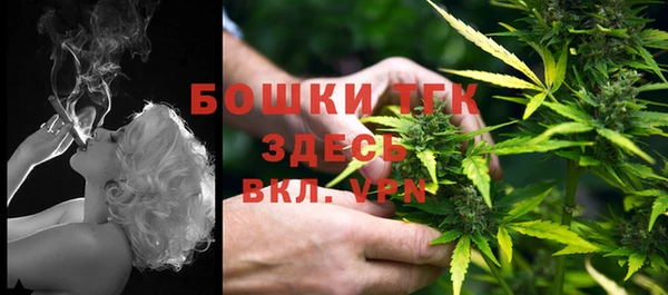 тгк Ельня