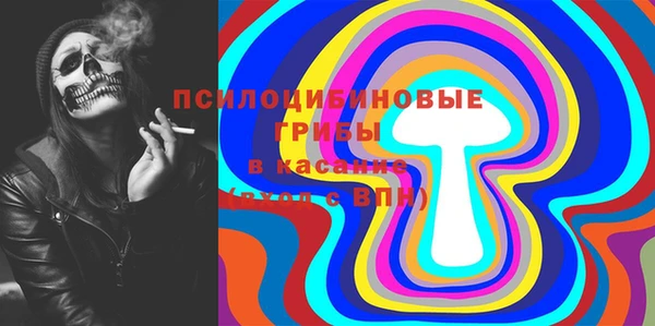 тгк Ельня