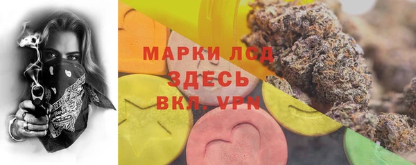 PSILOCYBIN Елабуга